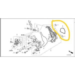 gasket/oring water pump PCX 160 asli/ori